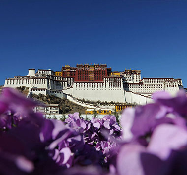 Tibet Railway Travel